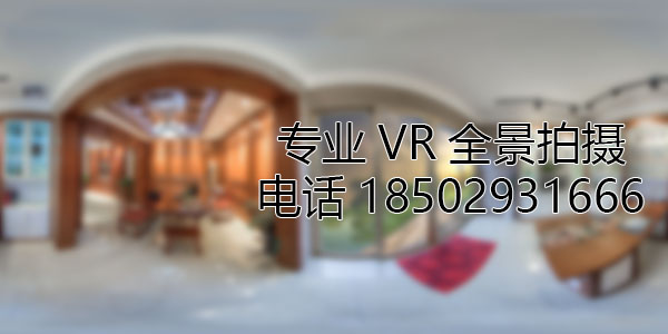 盘龙VR全景技术在未来可能的发展方向和应用领域?